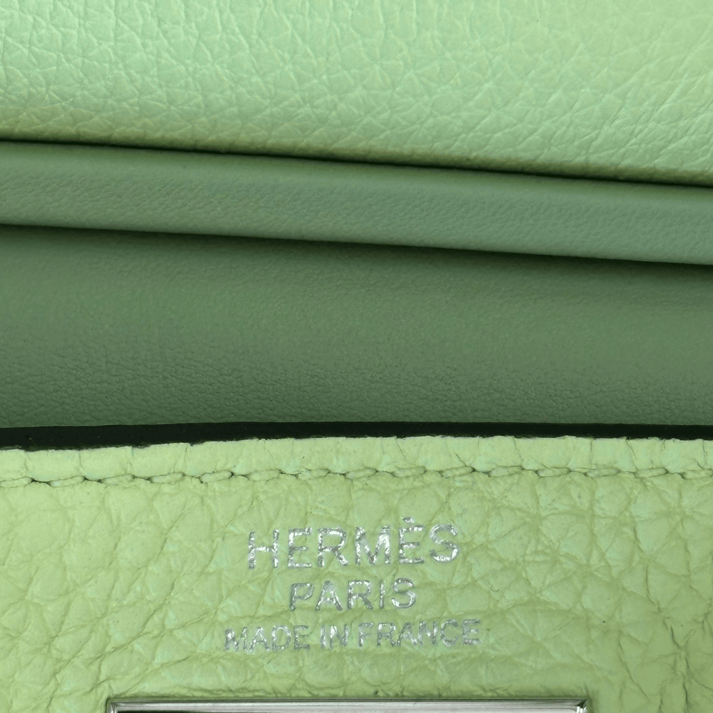 Hermes Vert Absinthe HAC A Dos PM Backpack - Morely TrendsHermes Type here:)