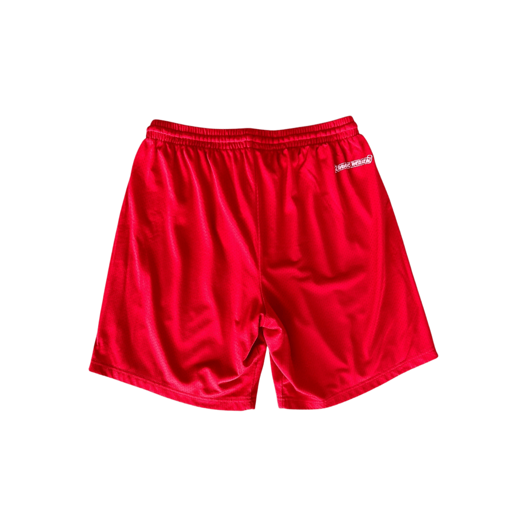 Chrome Hearts Matty Boy Red ‘99 Team’ Logo Mesh Shorts - Morely TrendsChrome Hearts Type here:)