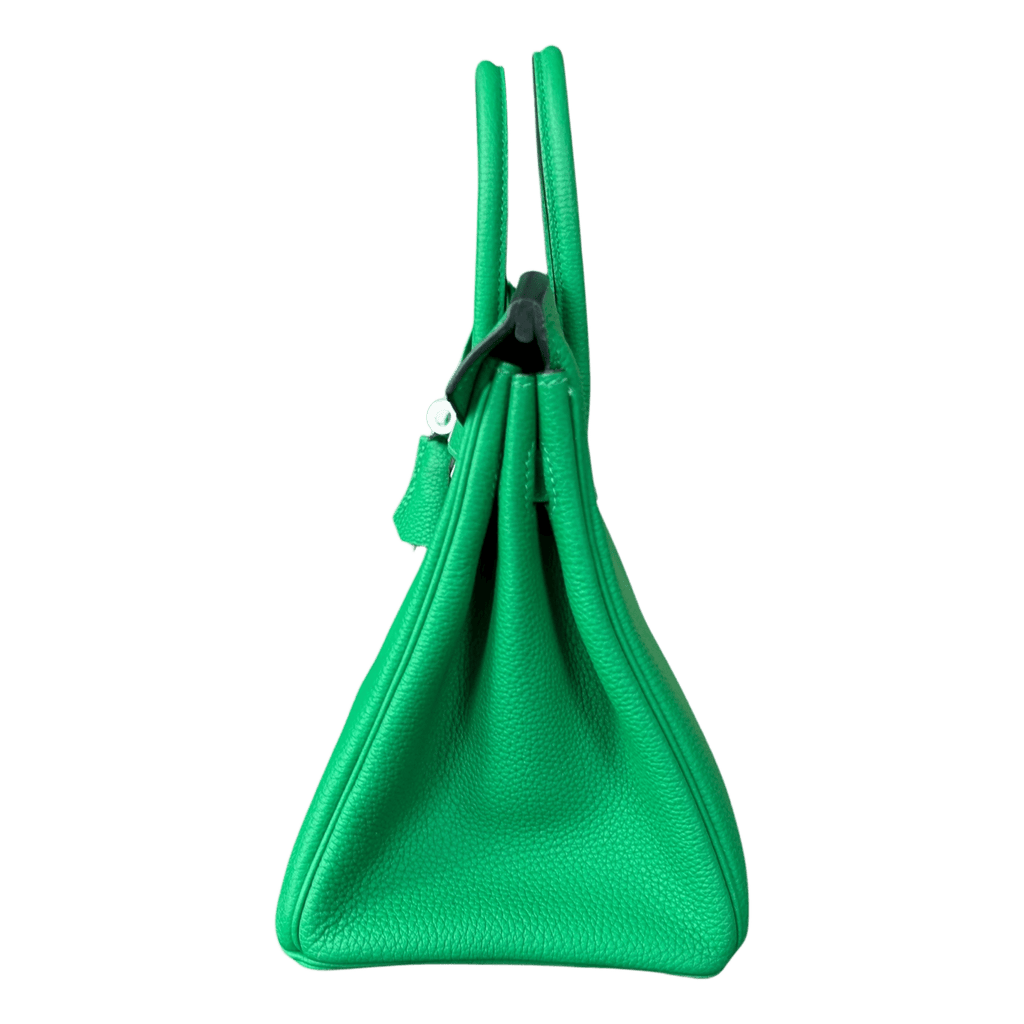 Hermes Bamboo Green Togo Birkin 25 - Morely TrendsHermes Type here:)